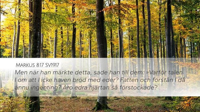 Markus 8:17 SV1917 Bible Verse Image