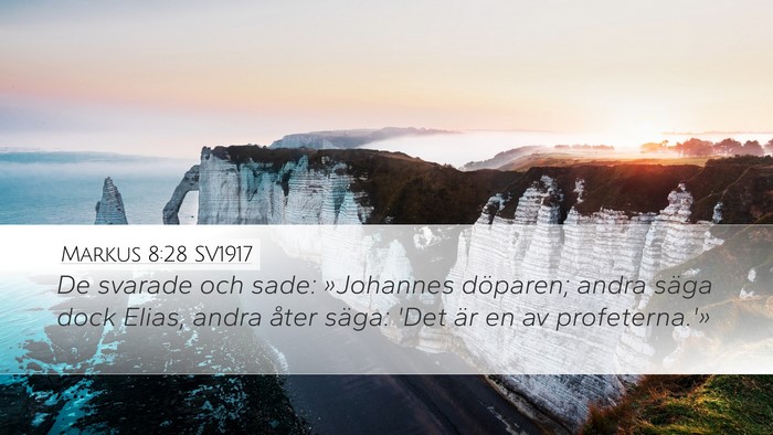 Markus 8:28 SV1917 Bible Verse Image
