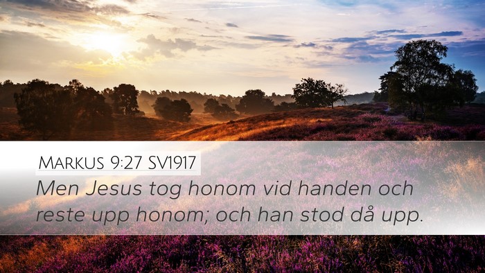Markus 9:27 SV1917 Bible Verse Image