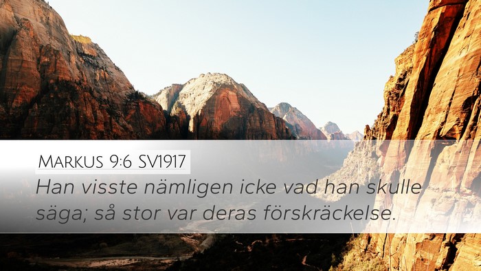 Markus 9:6 SV1917 Bible Verse Image