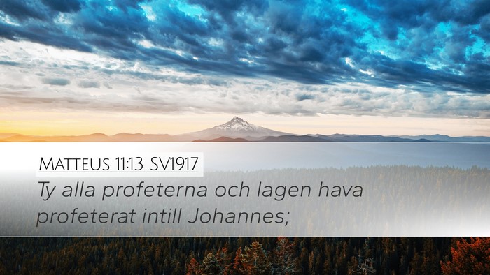 Matteus 11:13 SV1917 Desktop Wallpaper - Ty alla profeterna och lagen hava profeterat - Desktop Bible Verse Wallpaper