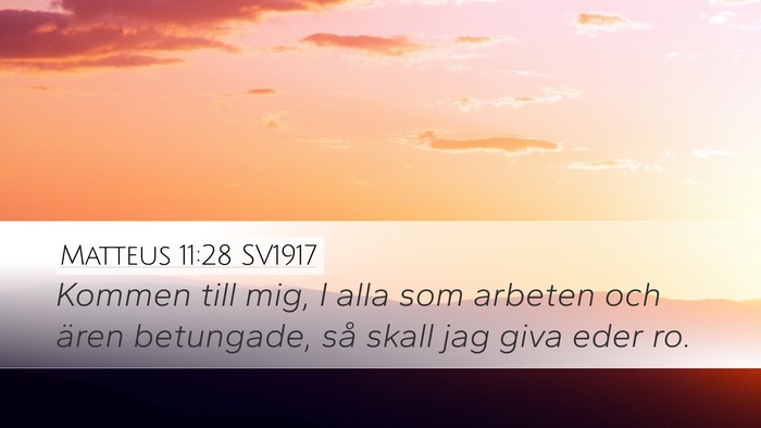 Matteus 11:28 SV1917 Bible Verse Image