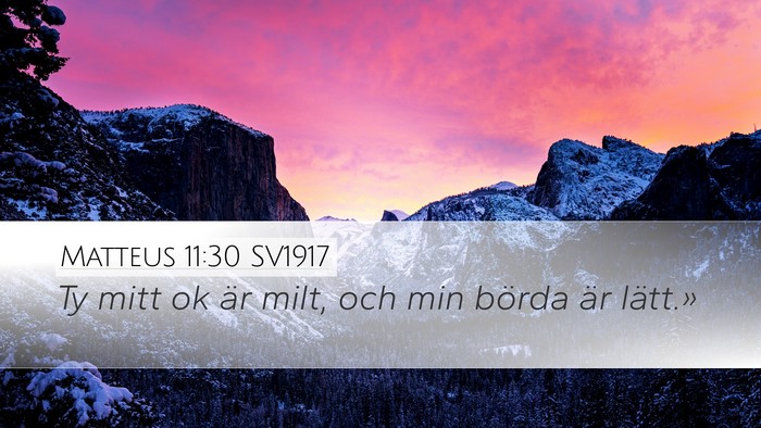 Matteus 11:30 SV1917 Desktop Wallpaper - Ty mitt ok är milt, och min börda är - Desktop Bible Verse Wallpaper