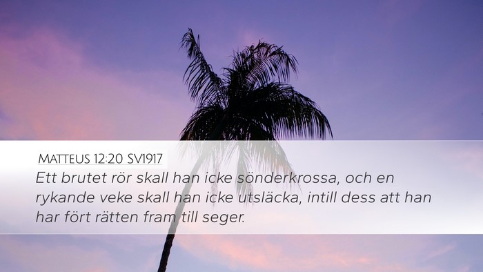 Matteus 12:20 SV1917 Desktop Wallpaper - Ett brutet rör skall han icke sönderkrossa, och - Desktop Bible Verse Wallpaper