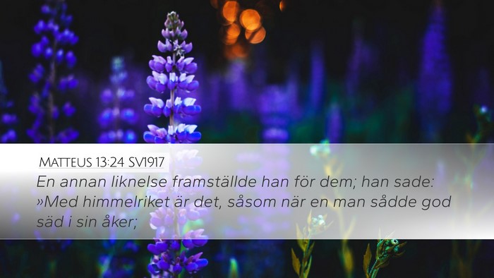 Matteus 13:24 SV1917 Bible Verse Image