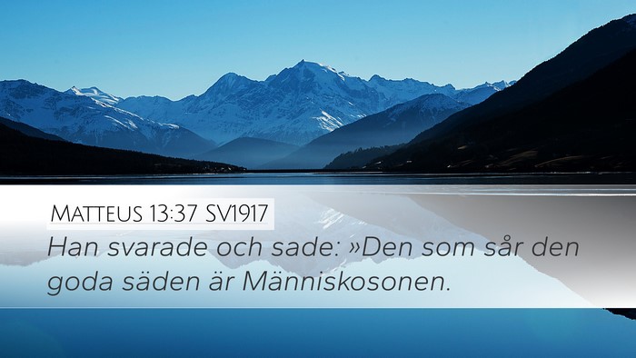 Matteus 13:37 SV1917 Bible Verse Image