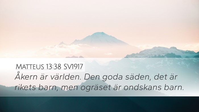 Matteus 13:38 SV1917 Bible Verse Image