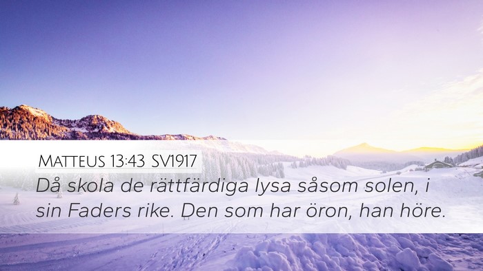 Matteus 13:43 SV1917 Bible Verse Image