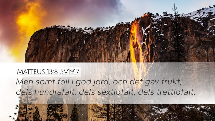 Matteus 13:8 SV1917 Bible Verse Image
