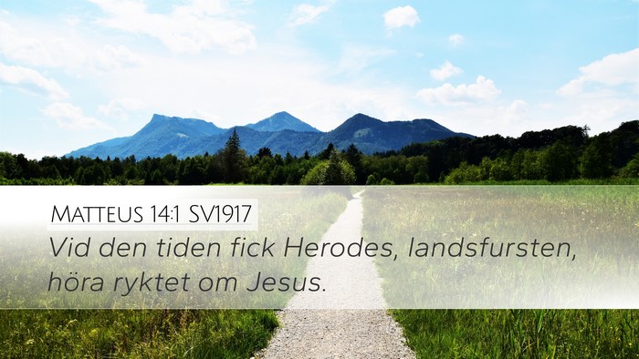 Matteus 14:1 SV1917 Bible Verse Image