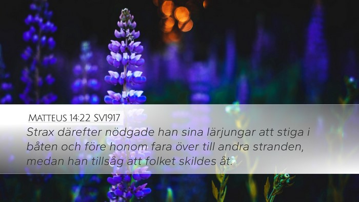 Matteus 14:22 SV1917 Desktop Wallpaper - Strax därefter nödgade han sina lärjungar att - Desktop Bible Verse Wallpaper