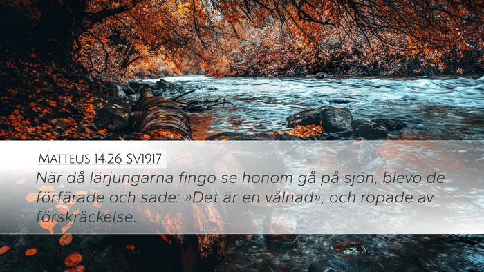 Matteus 14:26 SV1917 Desktop Wallpaper - När då lärjungarna fingo se honom gå på - Desktop Bible Verse Wallpaper