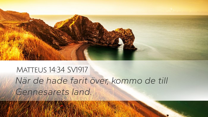Matteus 14:34 SV1917 Bible Verse Image