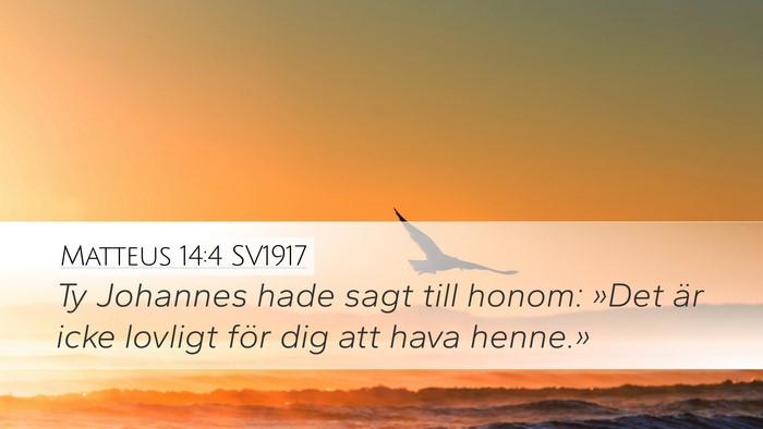 Matteus 14:4 SV1917 Desktop Wallpaper - Ty Johannes hade sagt till honom: »Det är icke - Desktop Bible Verse Wallpaper