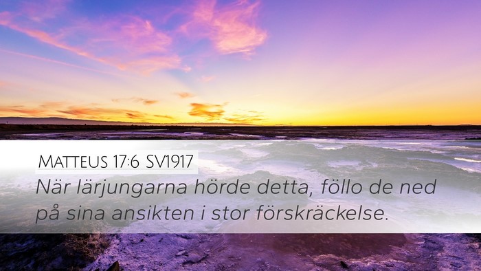 Matteus 17:6 SV1917 Bible Verse Image