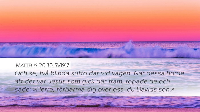 Matteus 20:30 SV1917 Bible Verse Image