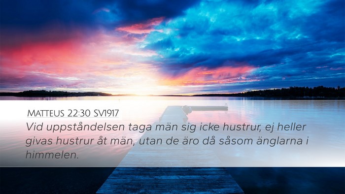Matteus 22:30 SV1917 Bible Verse Image