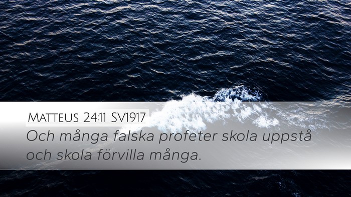 Matteus 24:11 SV1917 Bible Verse Image