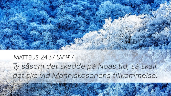 Matteus 24:37 SV1917 Bible Verse Image