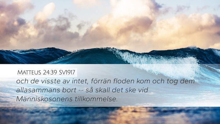 Matteus 24:39 SV1917 Bible Verse Image