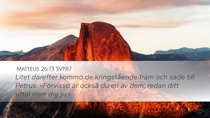Matteus 26:73 SV1917 Desktop Wallpaper - Litet därefter kommo de kringstående fram och - Desktop Bible Verse Wallpaper