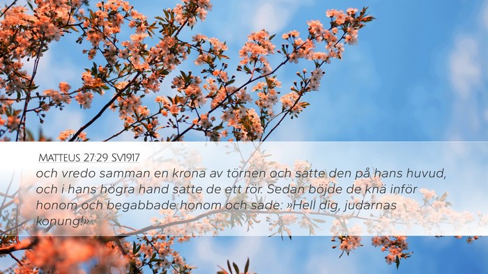 Matteus 27:29 SV1917 Bible Verse Image