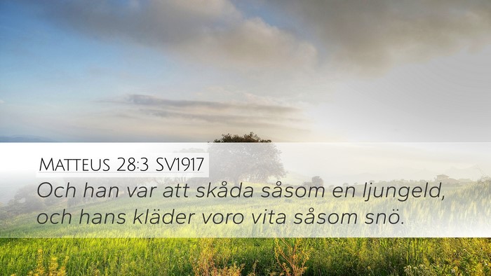 Matteus 28:3 SV1917 Bible Verse Image