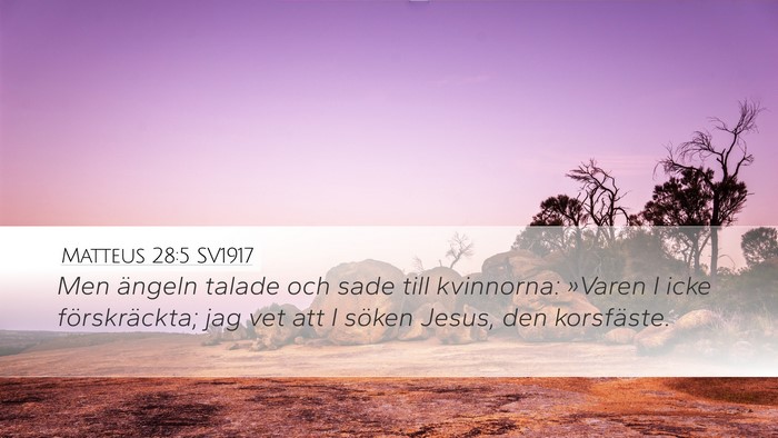 Matteus 28:5 SV1917 Bible Verse Image