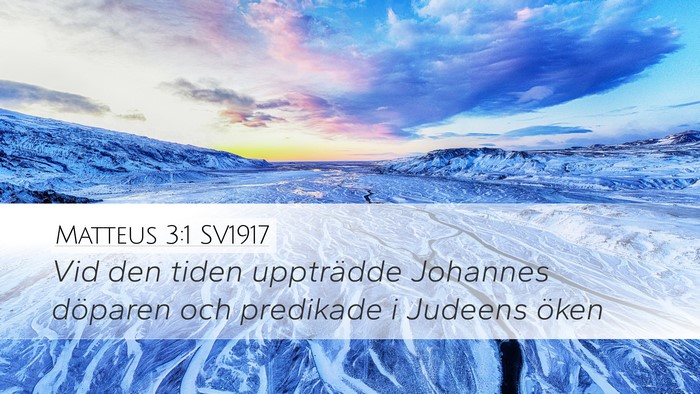 Matteus 3:1 SV1917 Bible Verse Image