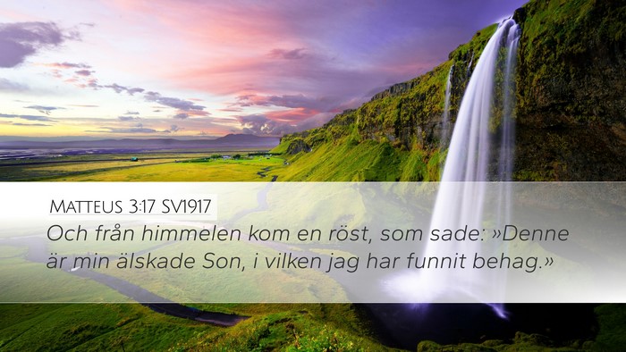 Matteus 3:17 SV1917 Bible Verse Image