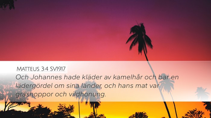 Matteus 3:4 SV1917 Bible Verse Image