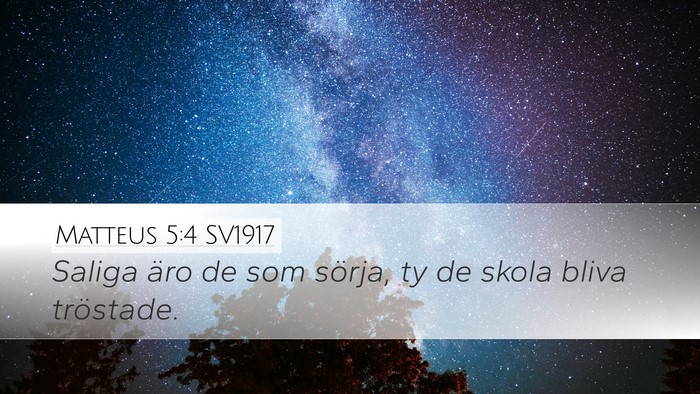 Matteus 5:4 SV1917 Bible Verse Image