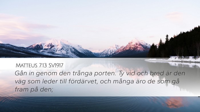 Matteus 7:13 SV1917 Bible Verse Image