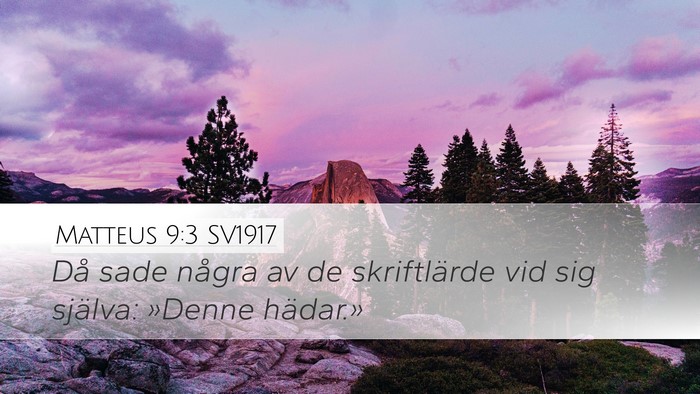 Matteus 9:3 SV1917 Bible Verse Image