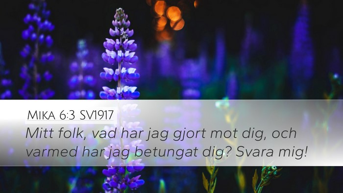 Mika 6:3 SV1917 Bible Verse Image