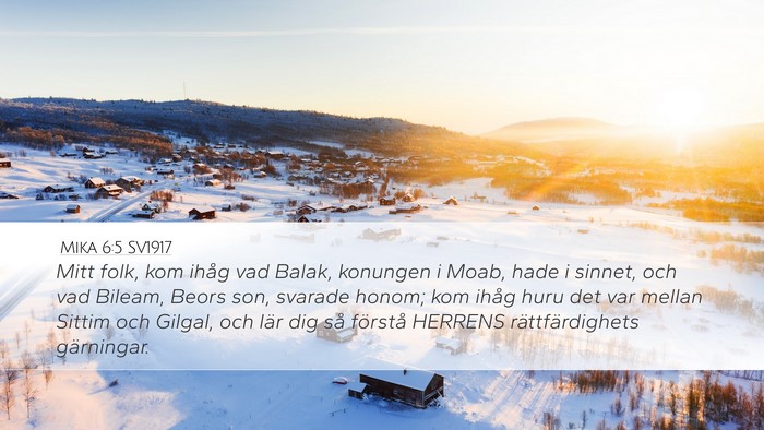 Mika 6:5 SV1917 Bible Verse Image