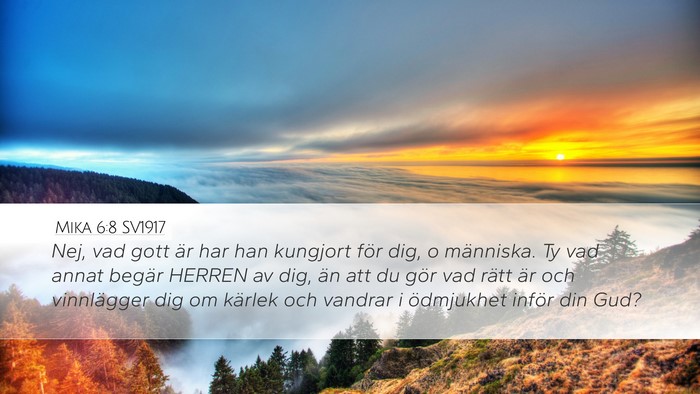 Mika 6:8 SV1917 Bible Verse Image