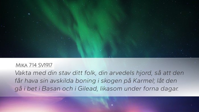 Mika 7:14 SV1917 Bible Verse Image