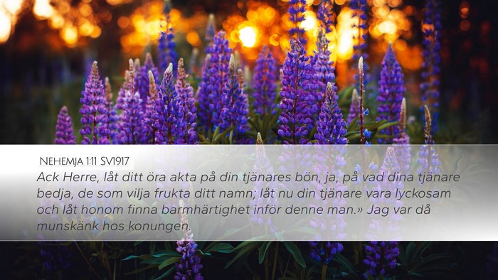 Nehemja 1:11 SV1917 Bible Verse Image