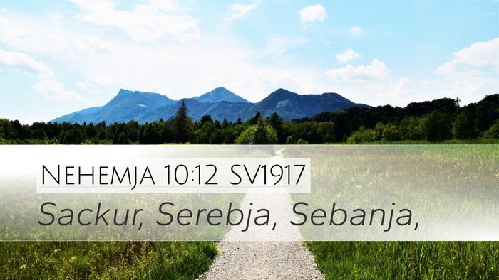 Nehemja 10:12 SV1917 Bible Verse Image
