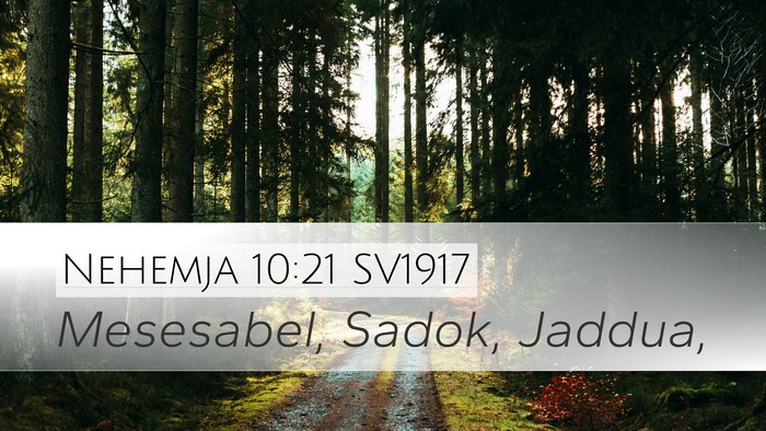 Nehemja 10:21 SV1917 Desktop Wallpaper - Mesesabel, Sadok, - Desktop Bible Verse Wallpaper
