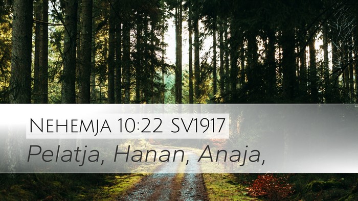 Nehemja 10:22 SV1917 Desktop Wallpaper - Pelatja, Hanan, - Desktop Bible Verse Wallpaper
