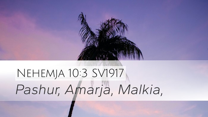 Nehemja 10:3 SV1917 Desktop Wallpaper - Pashur, Amarja, - Desktop Bible Verse Wallpaper