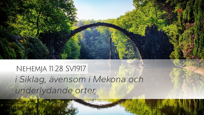 Nehemja 11:28 SV1917 Bible Verse Image