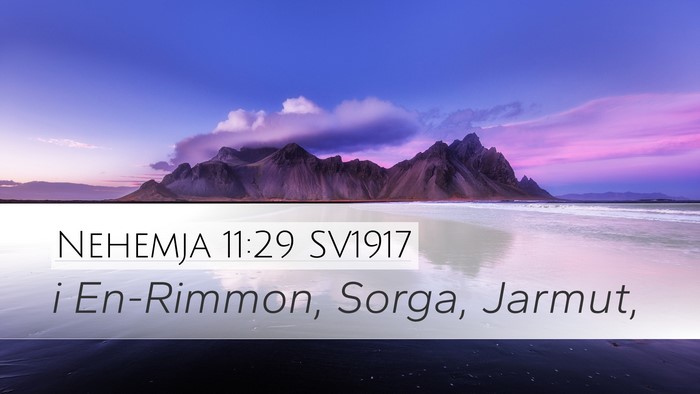 Nehemja 11:29 SV1917 Desktop Wallpaper - i En-Rimmon, Sorga, - Desktop Bible Verse Wallpaper