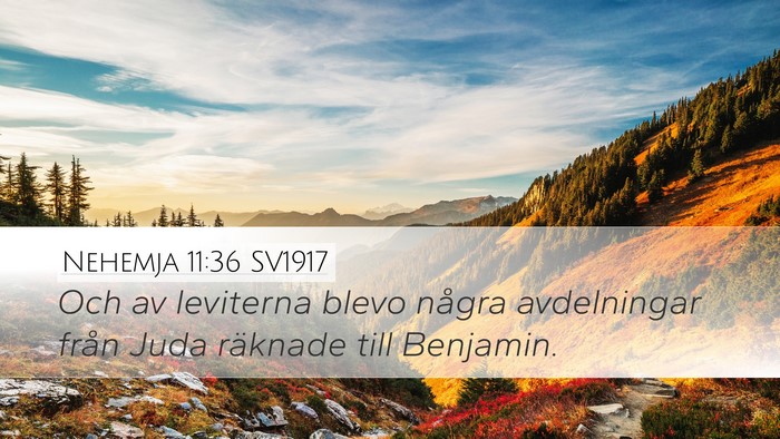 Nehemja 11:36 SV1917 Bible Verse Image