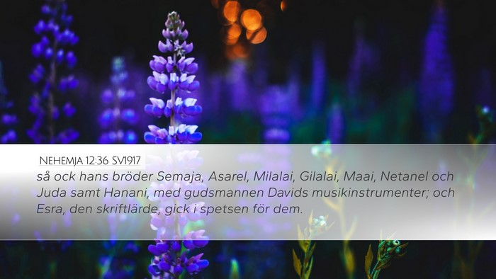 Nehemja 12:36 SV1917 Bible Verse Image