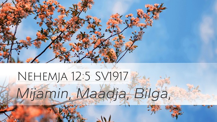 Nehemja 12:5 SV1917 Bible Verse Image