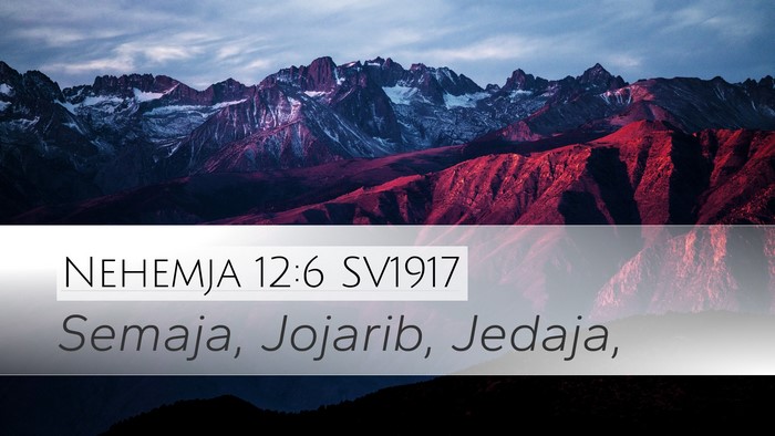 Nehemja 12:6 SV1917 Bible Verse Image