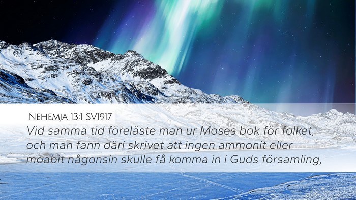 Nehemja 13:1 SV1917 Bible Verse Image